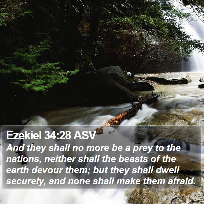 Ezekiel 34:28 ASV Bible Study