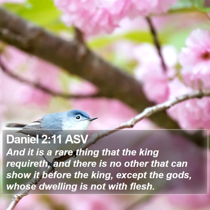 Daniel 2:11 ASV Bible Study