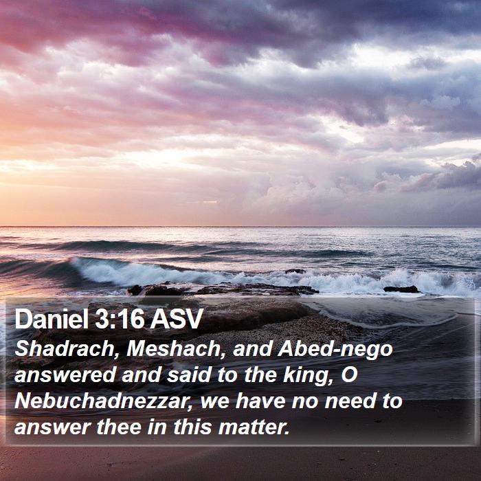 Daniel 3:16 ASV Bible Study