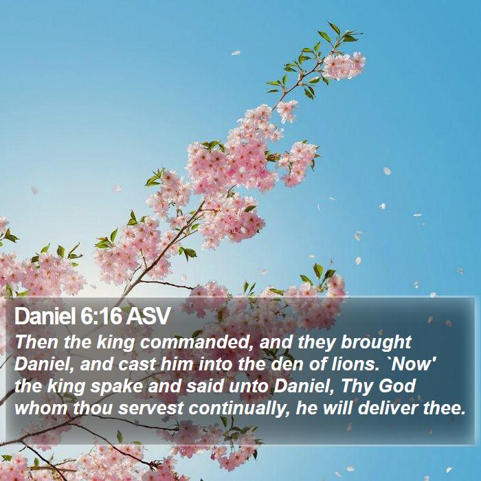 Daniel 6:16 ASV Bible Study