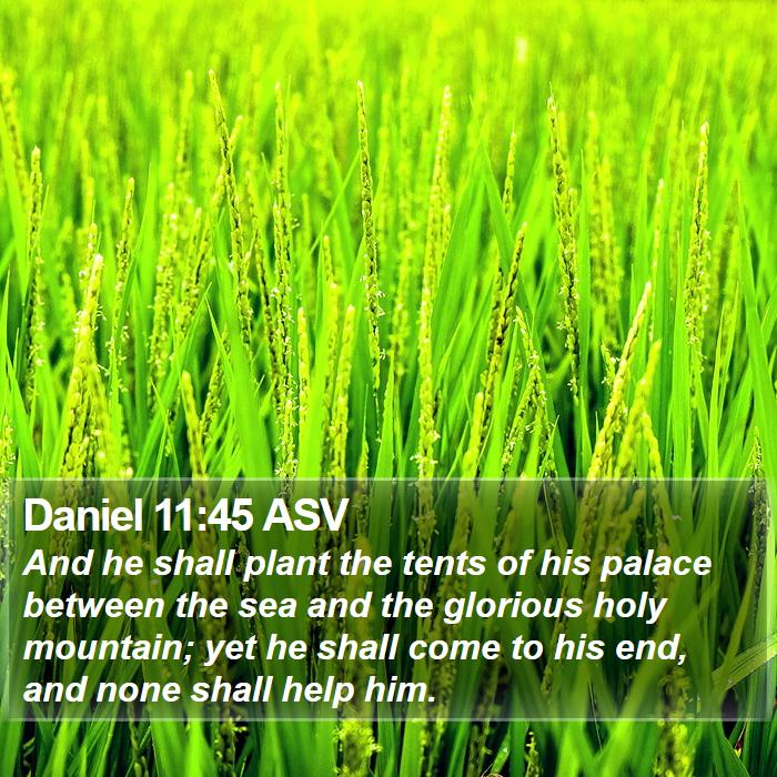 Daniel 11:45 ASV Bible Study