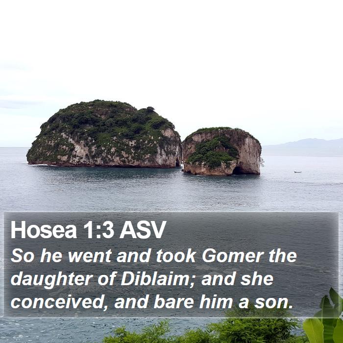 Hosea 1:3 ASV Bible Study