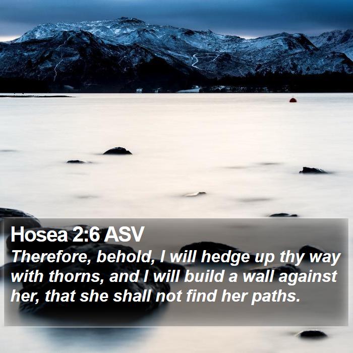 Hosea 2:6 ASV Bible Study