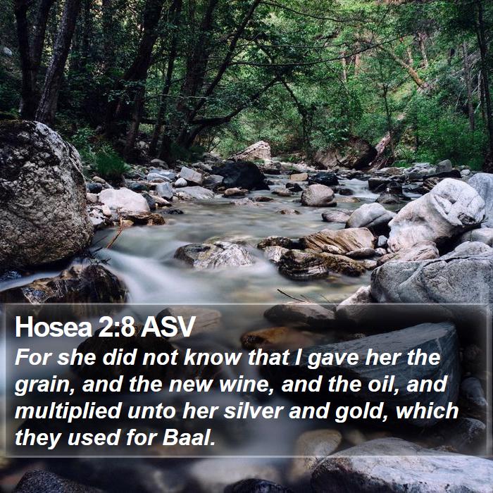 Hosea 2:8 ASV Bible Study