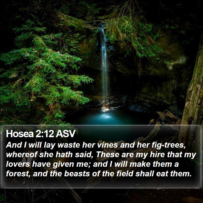 Hosea 2:12 ASV Bible Study