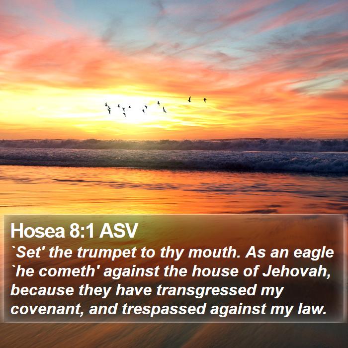 Hosea 8:1 ASV Bible Study