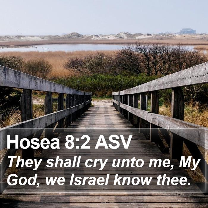 Hosea 8:2 ASV Bible Study