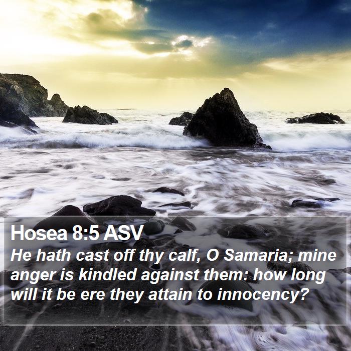 Hosea 8:5 ASV Bible Study