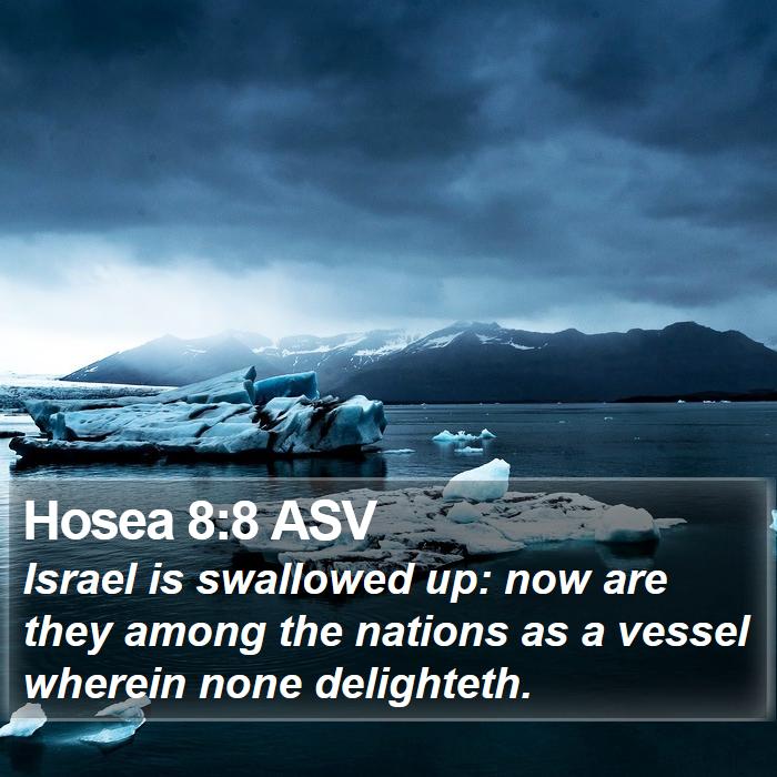 Hosea 8:8 ASV Bible Study