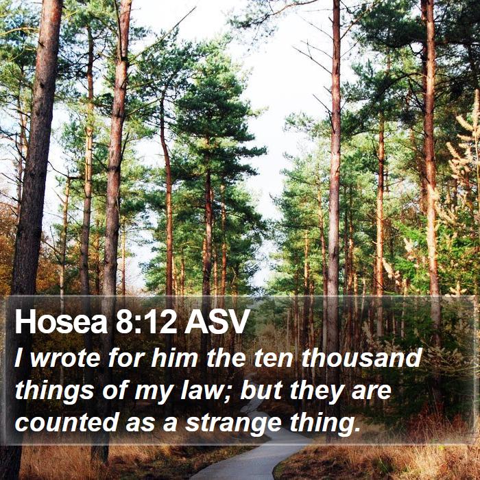 Hosea 8:12 ASV Bible Study