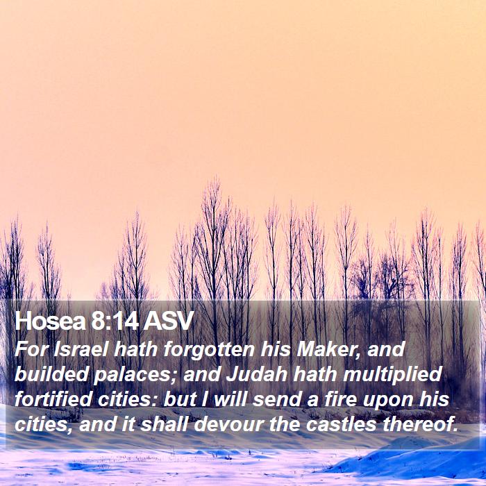 Hosea 8:14 ASV Bible Study