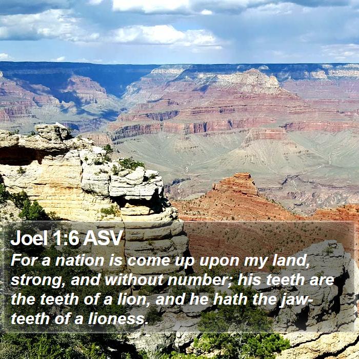 Joel 1:6 ASV Bible Study