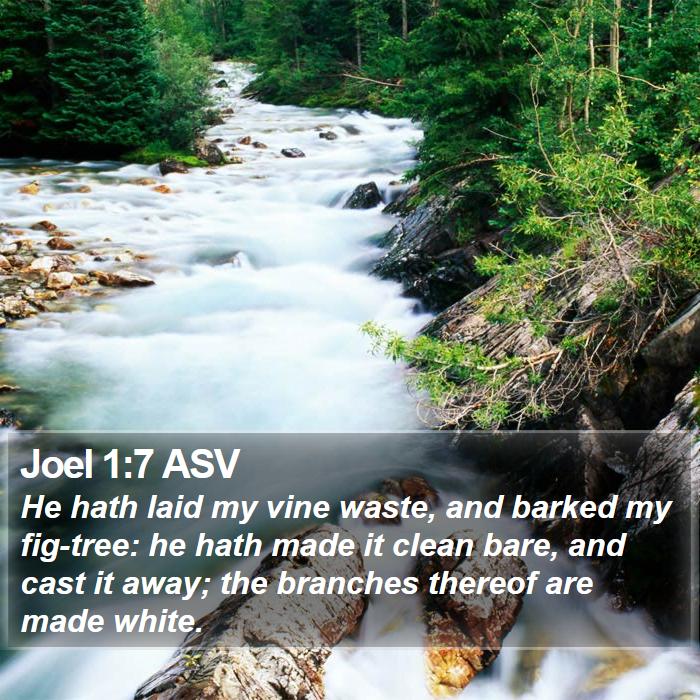 Joel 1:7 ASV Bible Study