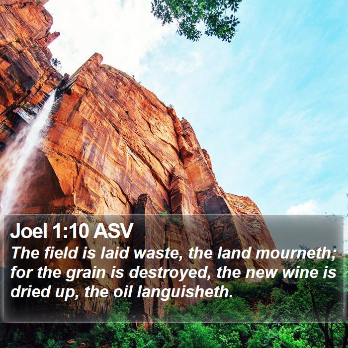 Joel 1:10 ASV Bible Study