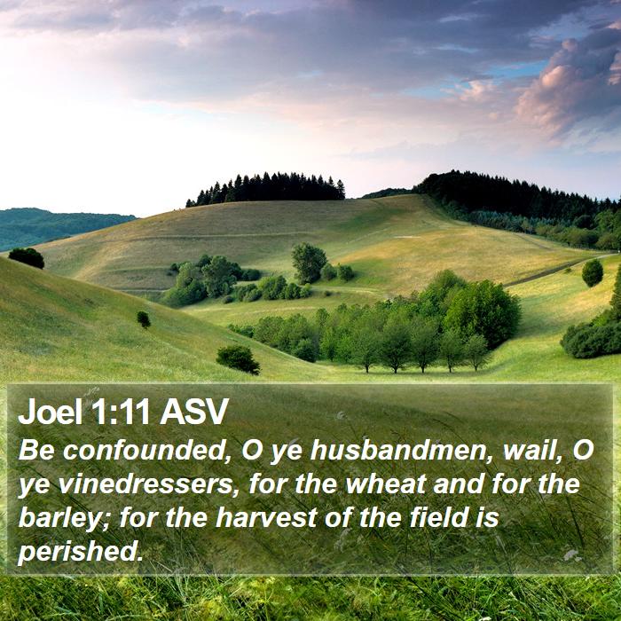 Joel 1:11 ASV Bible Study