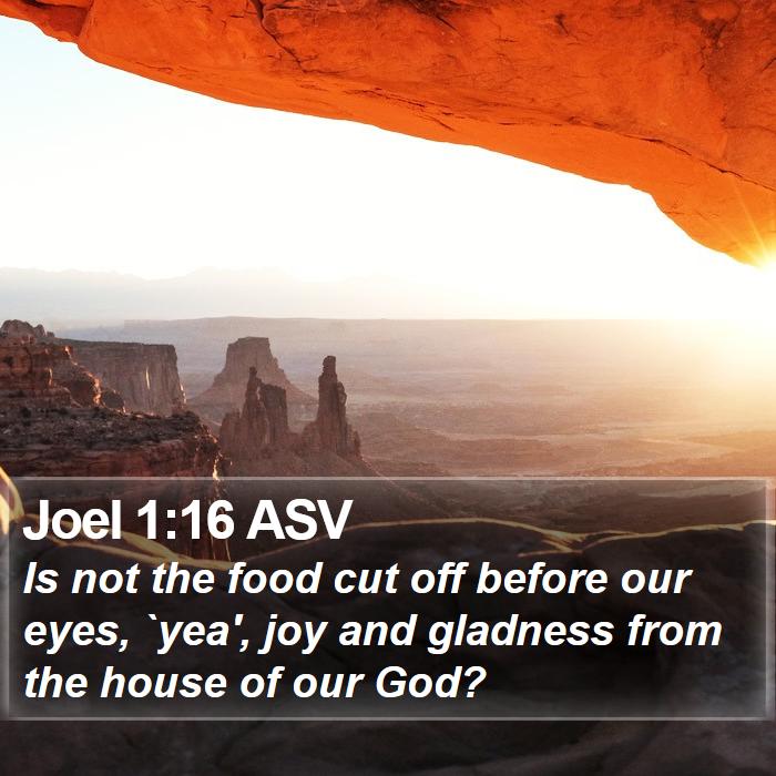 Joel 1:16 ASV Bible Study