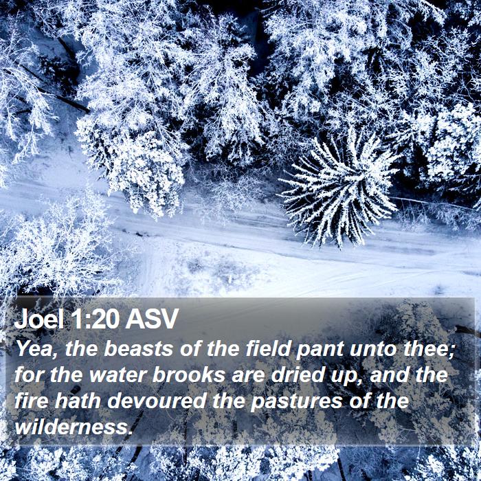 Joel 1:20 ASV Bible Study