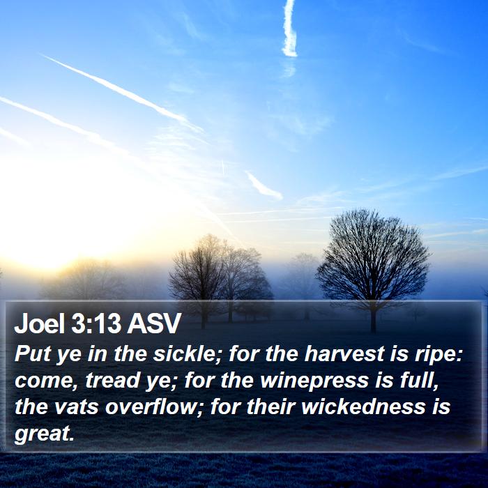 Joel 3:13 ASV Bible Study