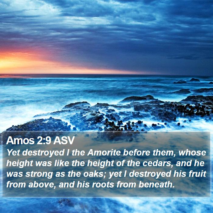 Amos 2:9 ASV Bible Study