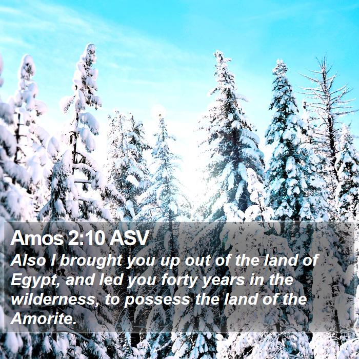 Amos 2:10 ASV Bible Study