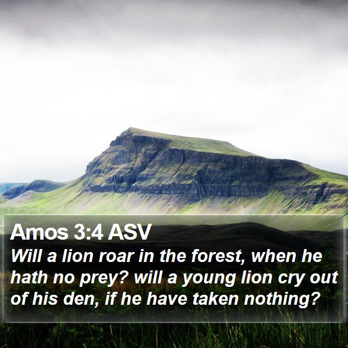 Amos 3:4 ASV Bible Study