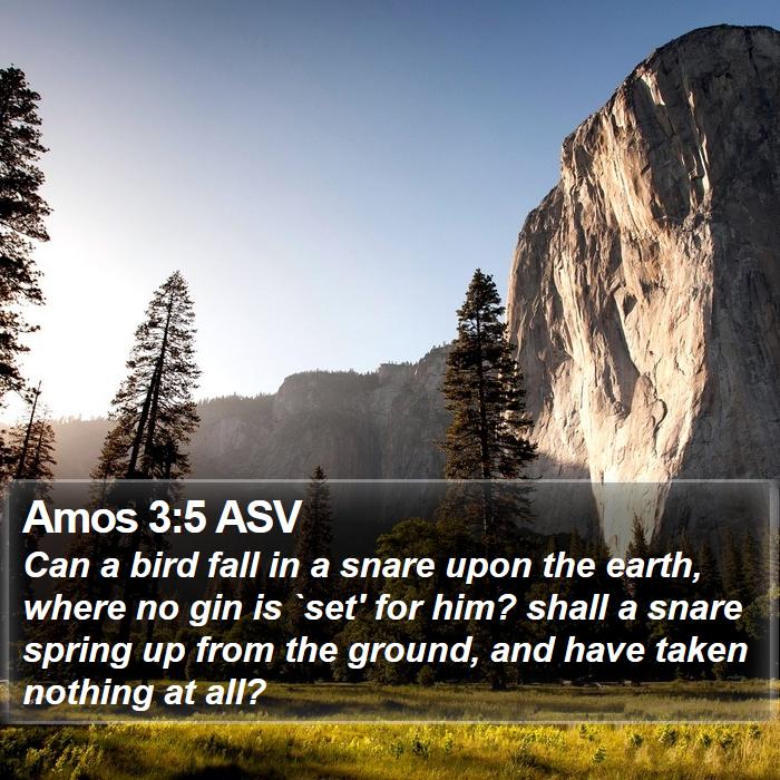 Amos 3:5 ASV Bible Study