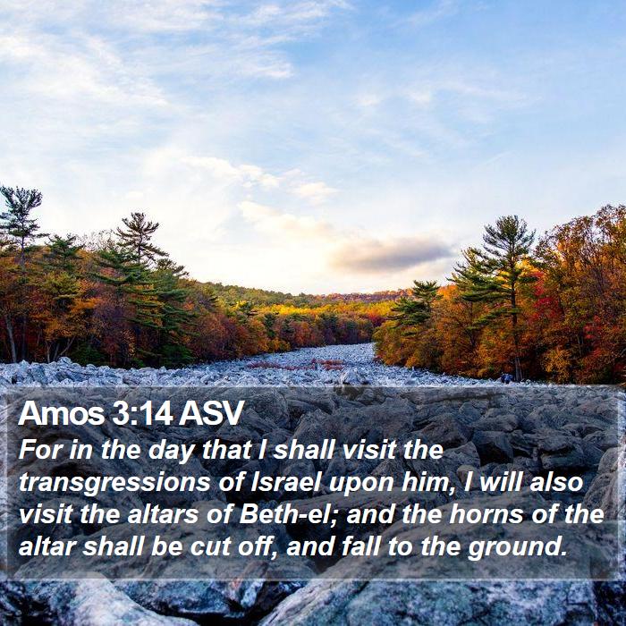 Amos 3:14 ASV Bible Study