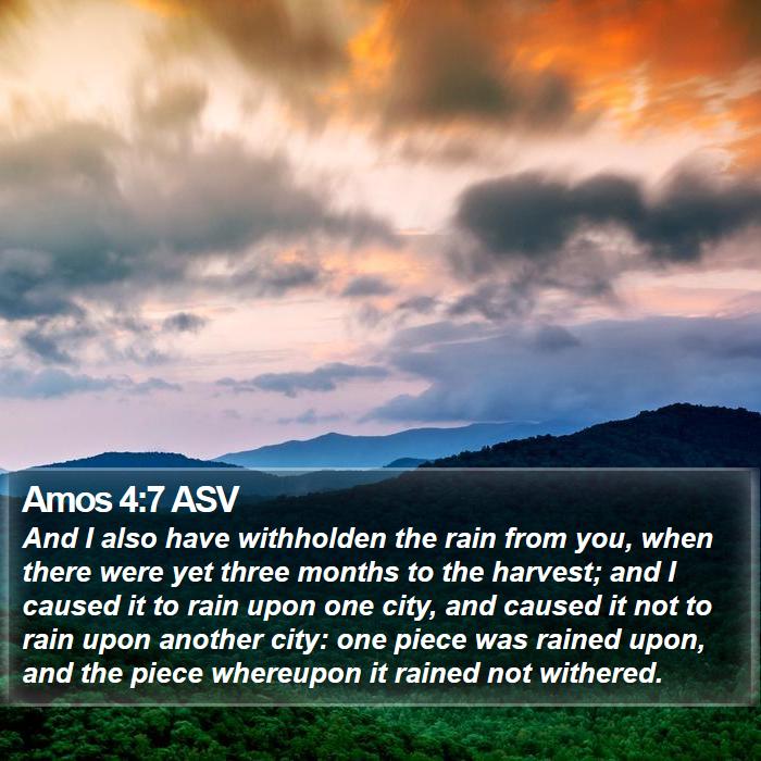 Amos 4:7 ASV Bible Study