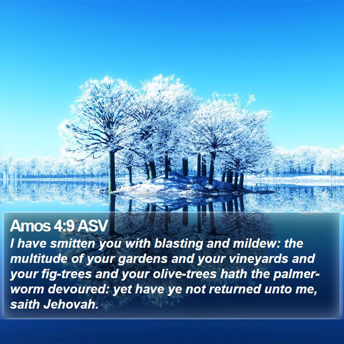 Amos 4:9 ASV Bible Study