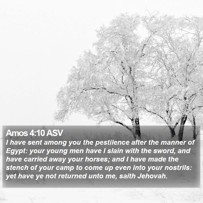 Amos 4:10 ASV Bible Study