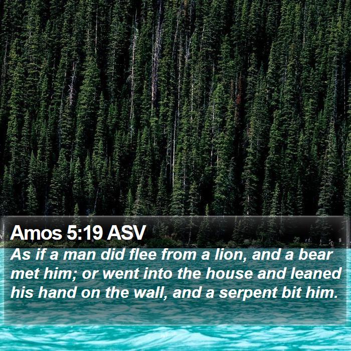 Amos 5:19 ASV Bible Study