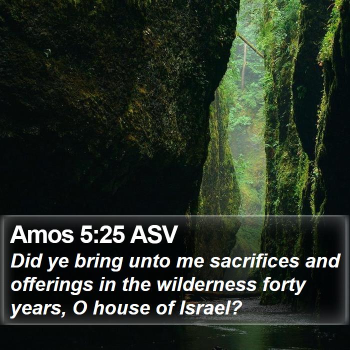 Amos 5:25 ASV Bible Study