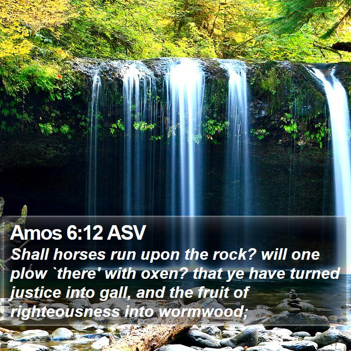 Amos 6:12 ASV Bible Study