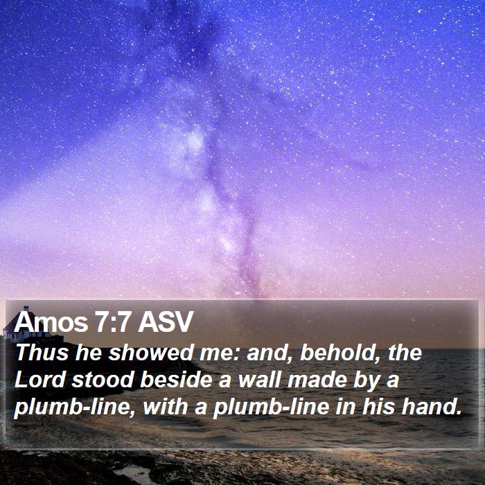 Amos 7:7 ASV Bible Study