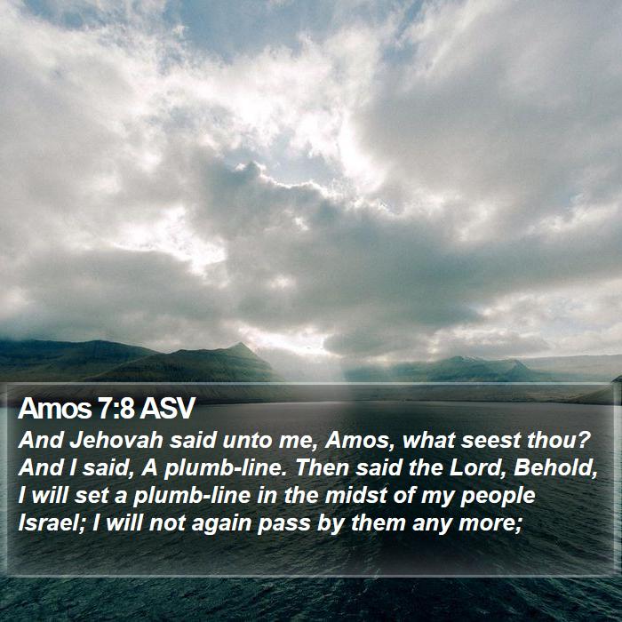 Amos 7:8 ASV Bible Study