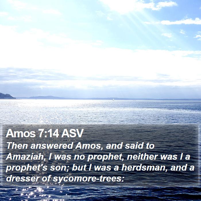 Amos 7:14 ASV Bible Study