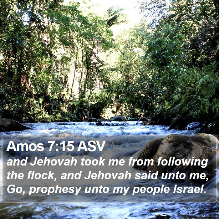 Amos 7:15 ASV Bible Study