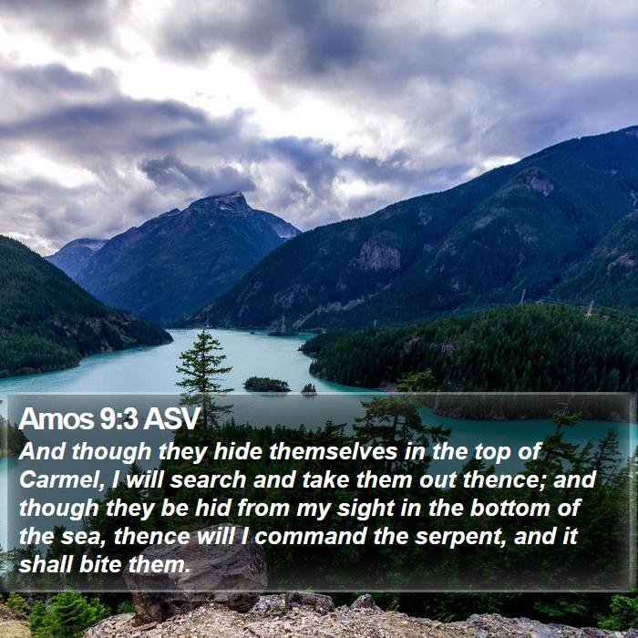 Amos 9:3 ASV Bible Study