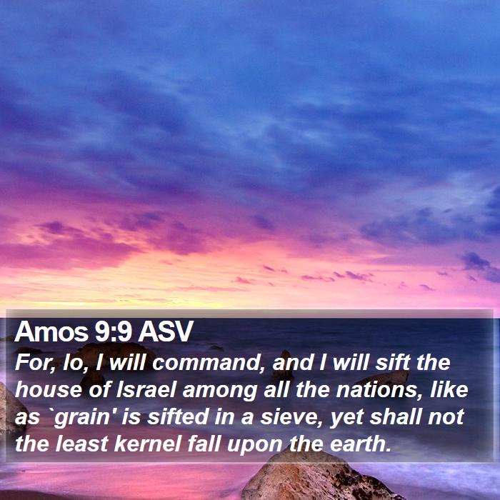 Amos 9:9 ASV Bible Study