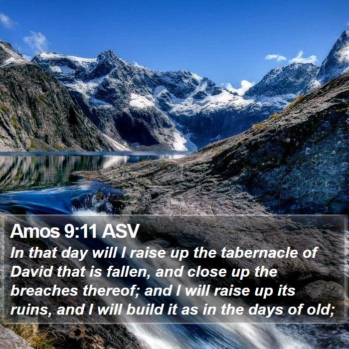 Amos 9:11 ASV Bible Study