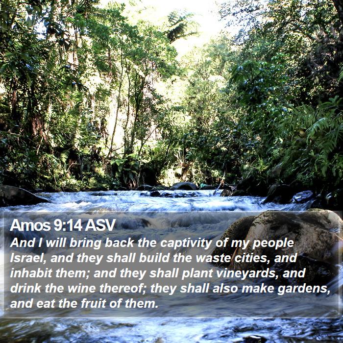 Amos 9:14 ASV Bible Study