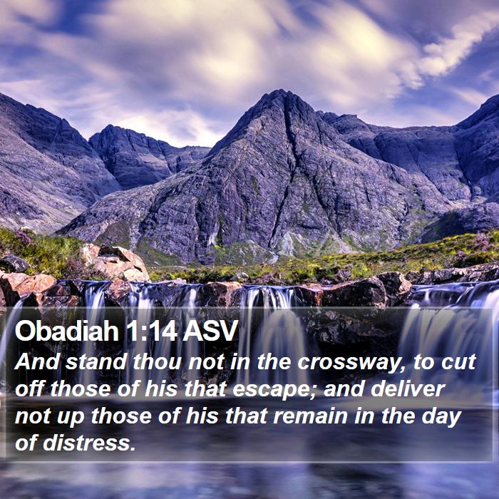 Obadiah 1:14 ASV Bible Study