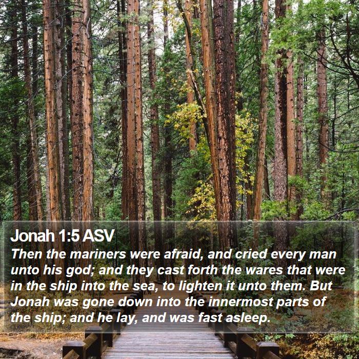 Jonah 1:5 ASV Bible Study