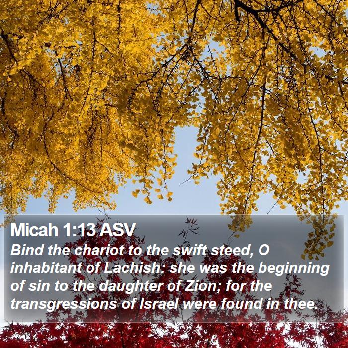 Micah 1:13 ASV Bible Study