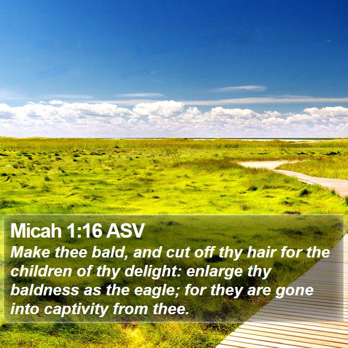 Micah 1:16 ASV Bible Study