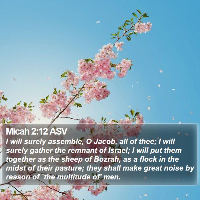 Micah 2:12 ASV Bible Study