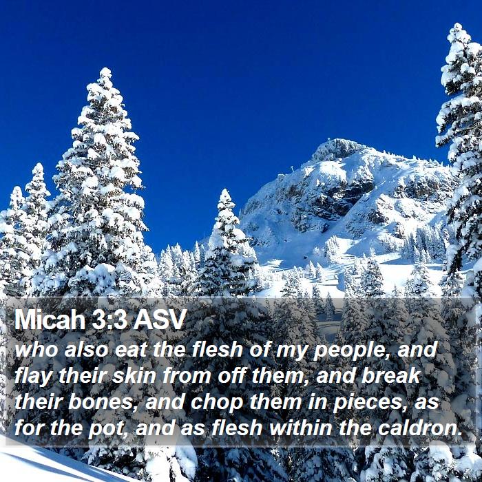 Micah 3:3 ASV Bible Study