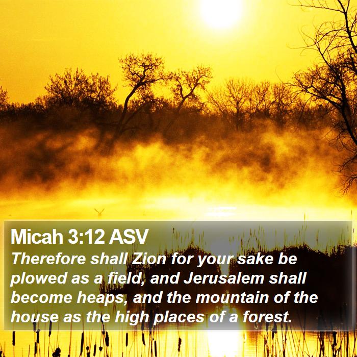 Micah 3:12 ASV Bible Study