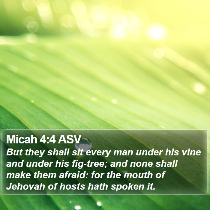 Micah 4:4 ASV Bible Study