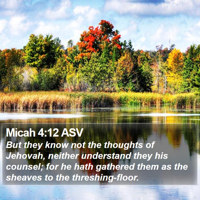 Micah 4:12 ASV Bible Study